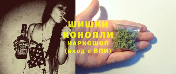 шишки Медногорск