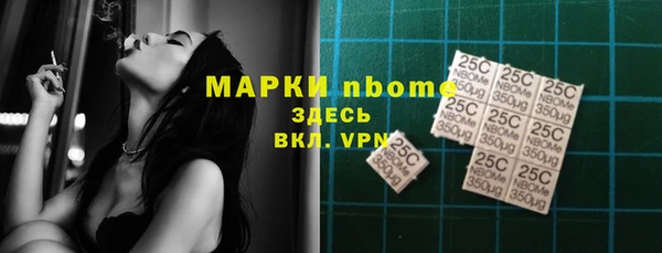 шишки Медногорск