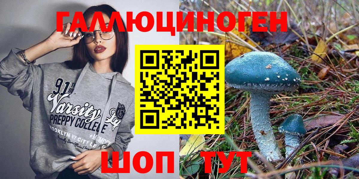 Муром  Галлюциногенные грибы Cubensis  купить  цена  Псилоцибиновые грибы Magic Shrooms  Вход с VPN 