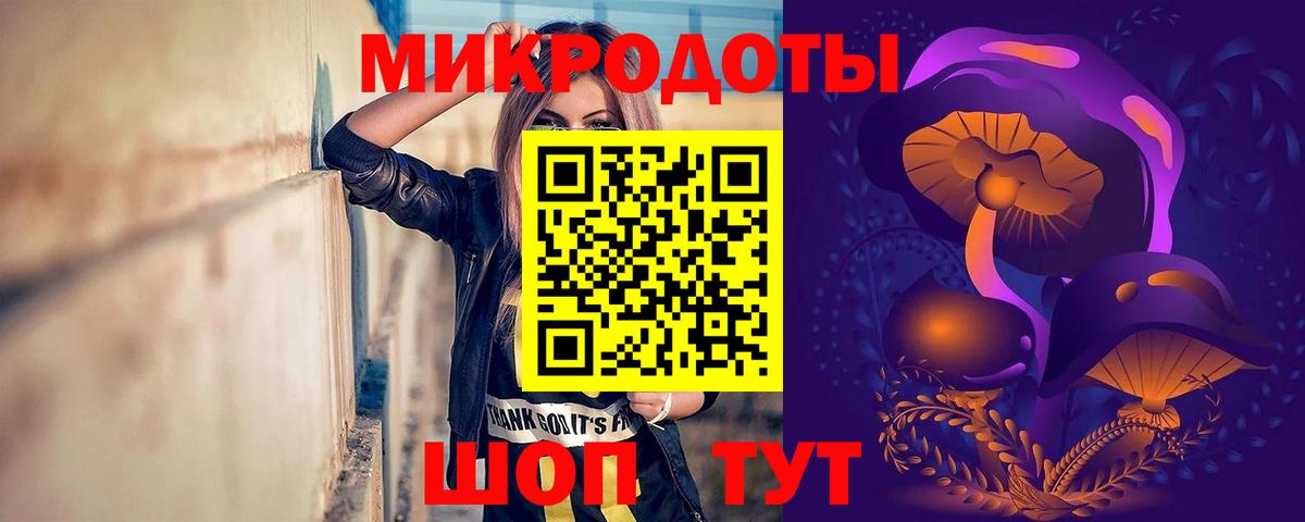 Псилоцибиновые грибы Psilocybe  Муром 